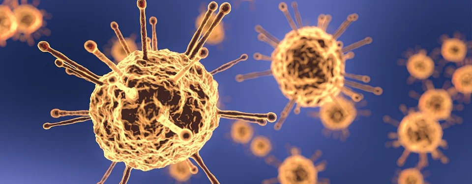 coronavirus